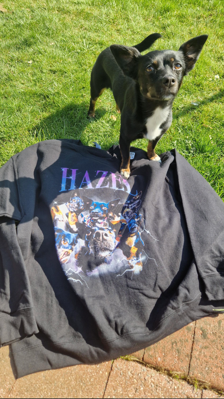 Personalised 90s Bootleg Rap Style Pet Hoodie