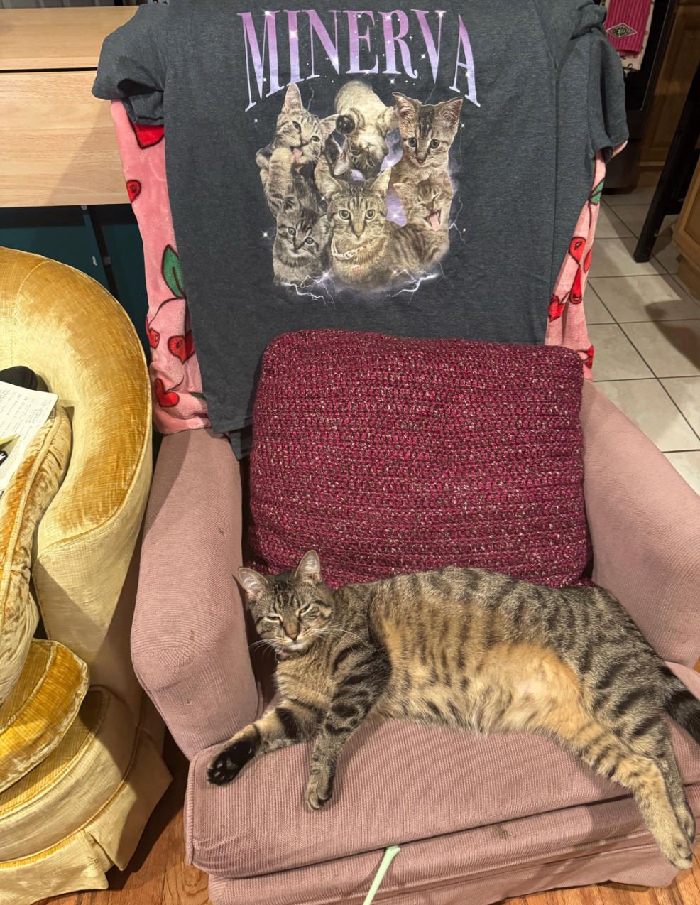 Personalised 90s Bootleg Rap Style Pet Hoodie