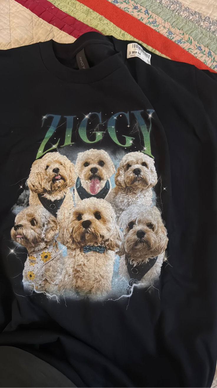 Personalised 90s Bootleg Rap Style Pet Hoodie