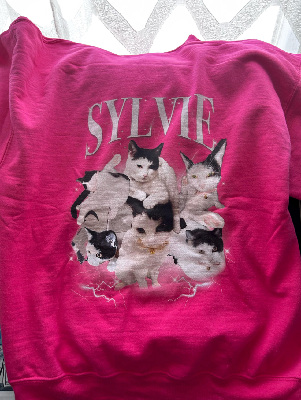 Personalised 90s Bootleg Rap Style Pet Hoodie