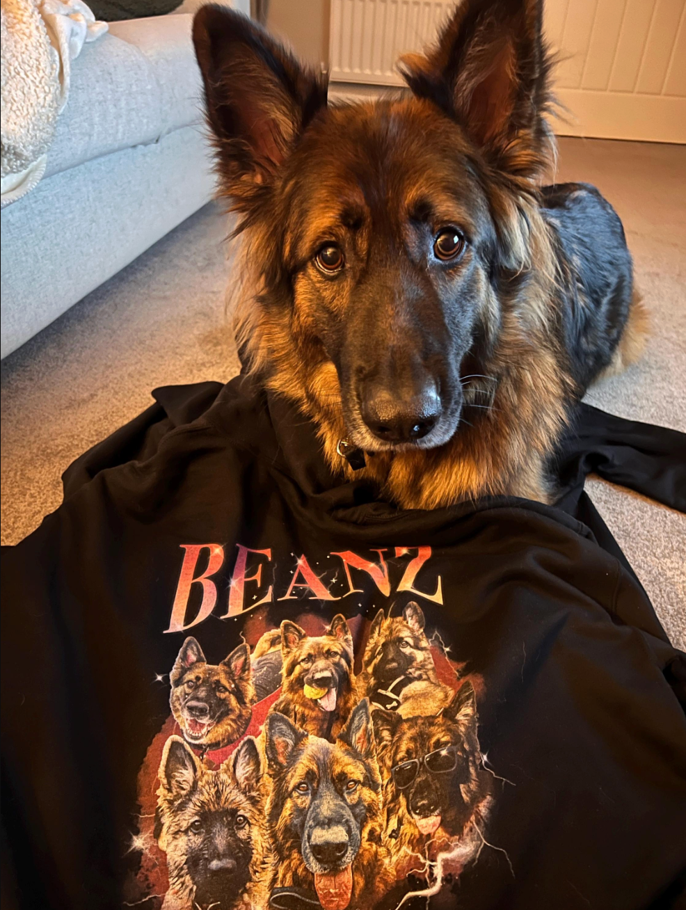 Dog wearing a hoodie with 'BEANZ' and wolf graphics